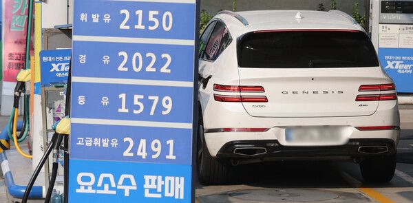 사진 제공=뉴시스