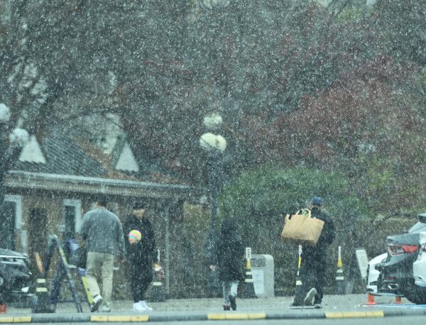 첫눈이 내린 지난달 17일 경기도 용인시 에버랜드 [사진제공=뉴시스]