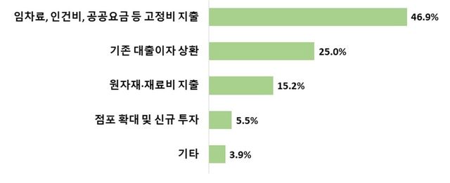 2023년 자영업자 대출 증가 이유 [사진출처=전국경제인연합회]