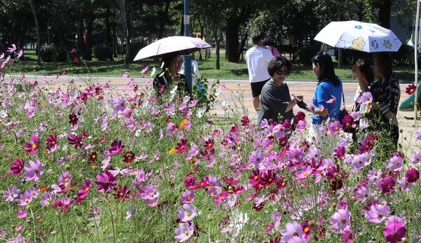 사진 제공=뉴시스