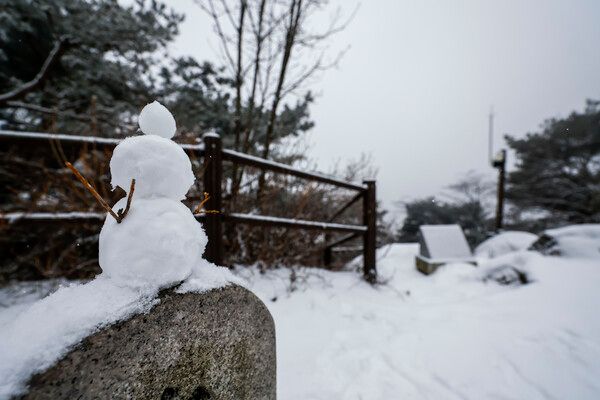 사진 제공=뉴시스