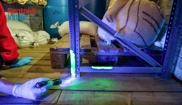 렌토킬이니셜코리아 ERDM 솔루션 적용 모습 [사진제공=렌토킬이니셜코리아]