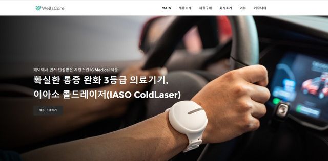 웰스케어 홈페이지 [사진제공=웰스케어]