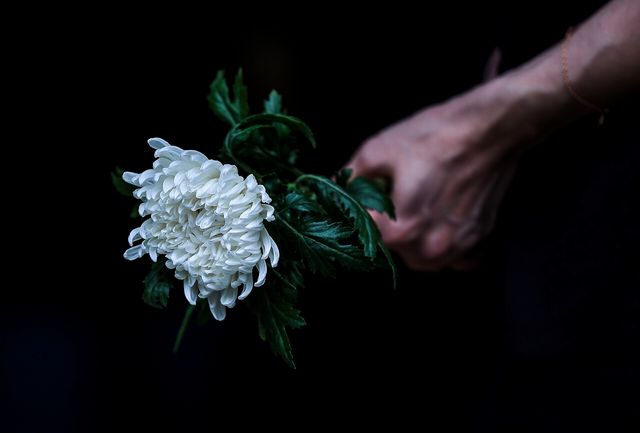 서이초 순직교사 1주기였던 지난 7월 18일 서울 서초구 서울교육대학교에서 진행된 교사유가족협의회, 초등교사노동조합 ‘2024 순직교사 추모행사’를 찾은 교사 및 시민들이 헌화하고 있다. [사진제공=뉴시스]<br>