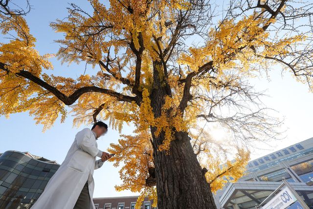 지난 11일 서울 소재 한 대학병원에서 의료진이 이동하고 있다. [사진제공=뉴시스]