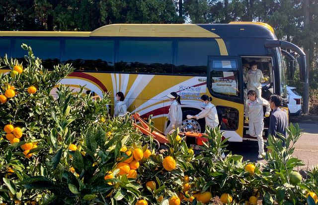 지난해 11월 1일 제주 소재 한 과수원에서 베트남에서 온 외국인 공공형 계절노동자들이 감귤 수확 실습현장으로 가고 있다. [사진제공=뉴시스]