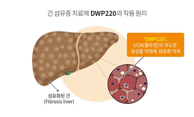 대웅제약 DWP220의 작용 원리. [자료 제공=대웅제약]