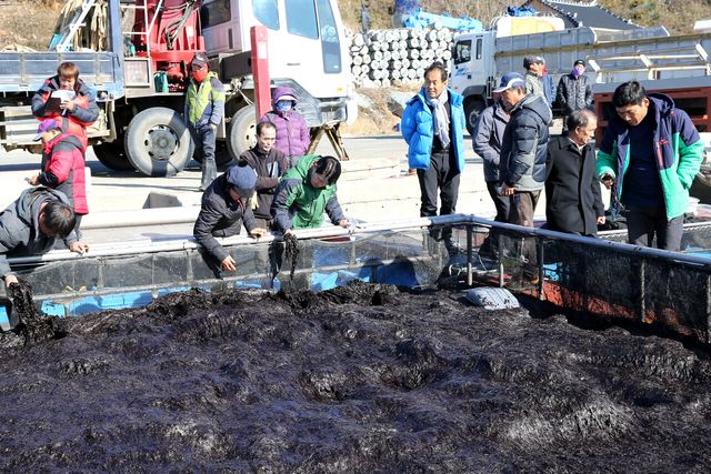 [사진 출처=뉴시스]