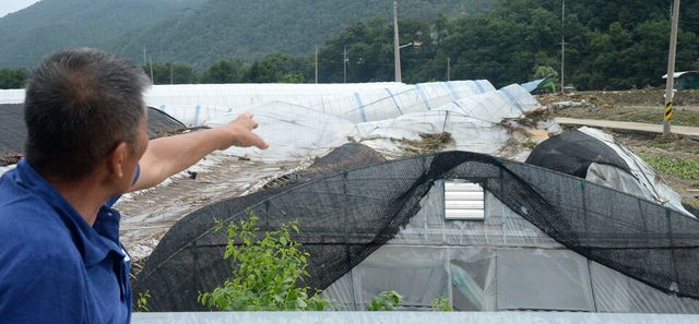 지난 11일 집중호우로 피해를 입은 전라북도 완주군 운주면 제방에 비닐하우스가 쓰러져 있다. [사진제공=뉴시스]