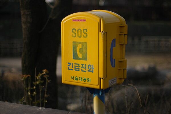 [사진제공=게티이미지뱅크]