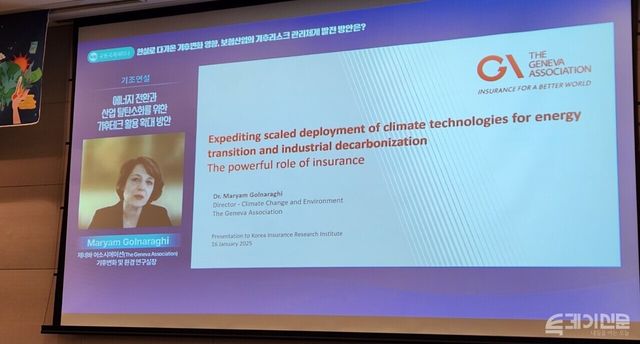 화상으로 회의에 참석해 발언 중인 메리엄 골나라기 팀장 ⓒ투데이신문