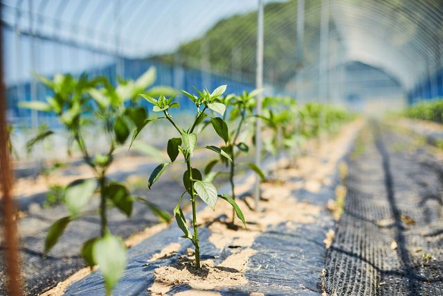 [사진제공=게티이미지뱅크]