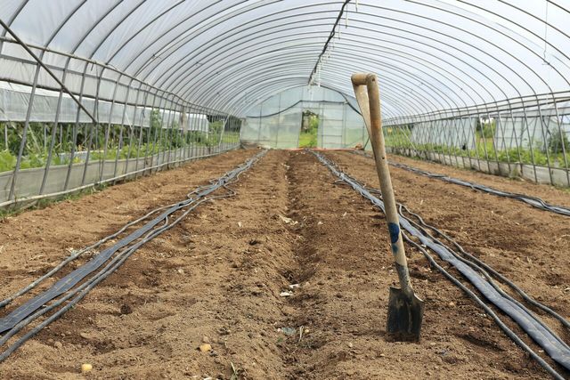 [사진제공=게티이미지뱅크]