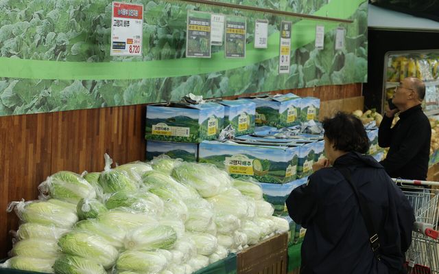 고물가 상황 속에서 저렴한 가격으로 식자재를 구입할 수 있는 정기 구독 서비스에 대한 관심이 높아지고 있다.&nbsp;<br>