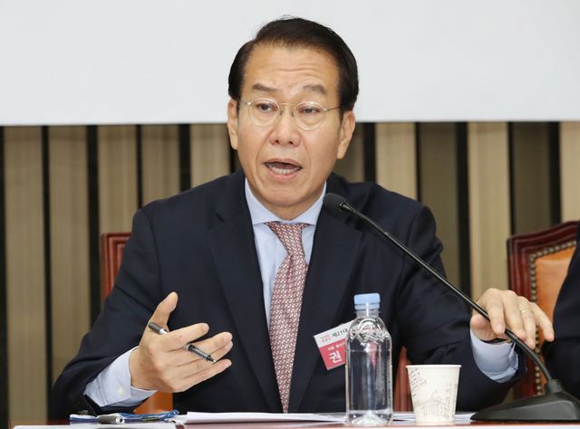 국민의힘 권영세 비상대책위원장.[사진출처=뉴시스]