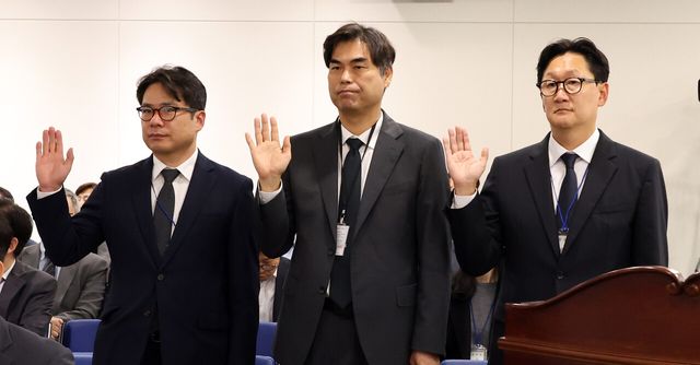13일 세종시 정부세종청사에서 열린 국회 과학기술정보방송통신위원회의 과학기술정보통신부에 대한 국정감사에 증인으로 출석한 (오른쪽부터)네이버 김광현 부사장과 서울AI재단 김만기 이사장, 네이버 이정규 총괄전무가 선서를 하고 있다. [사진=뉴시스]