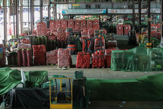 서울 송파구 가락시장 내 채소경매장 [사진제공=뉴시스]