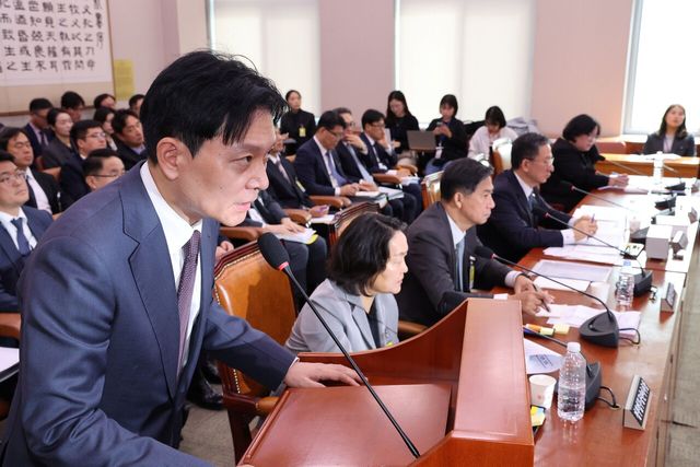 14일 서울 여의도 국회 법제사법위원회에서 진행된 법무부 등에 대한 국정감사에서 이화영 전 경기도 평화부지사의 대북 송금 사건에 대한 수사를 맡았던 법무연수원 박상용 교수가 발언하고 있다. [사진제공=뉴시스]