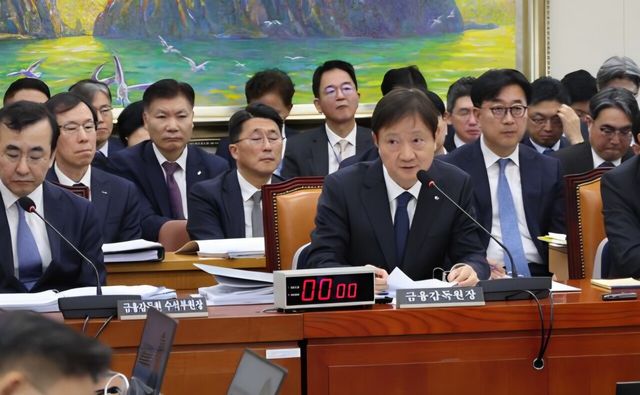 27일 정무위원회 국정감사에서 답변 중인 이찬진 금융감독원장