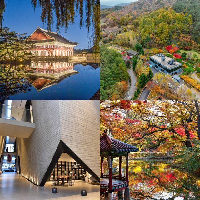 (왼쪽 위부터 시계 방향으로) 경복궁,&nbsp;국립한국자생식물원, 창덕궁 관람정, 수원시립미술관. [사진=한국관광공사]
