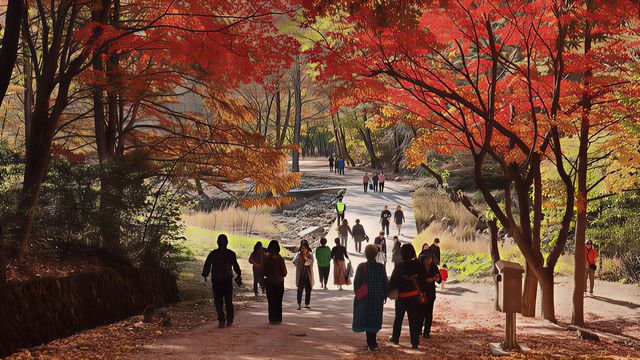 안양수목원 내부 사진 [사진 제공=안양시청]