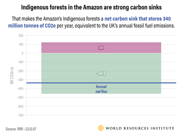아마존 원주민 숲의 연간 탄소배출량은 1억 2300만톤, 탄소흡수량은 연간 4억 5790만톤으로 연간 순흡수량은 3억 400만톤임을 나타내는 그래프 [이미지 출처=World Resources Institute]<br>