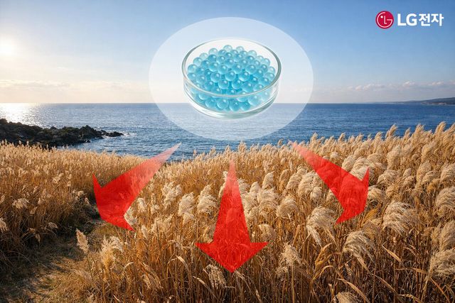 부산시 갈대밭에 마린 글라스를 적용하는 모습 예시(AI 제작).[사진=LG전자]<br>