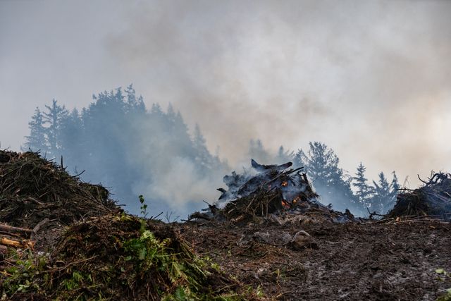 [사진=게티이미지뱅크]