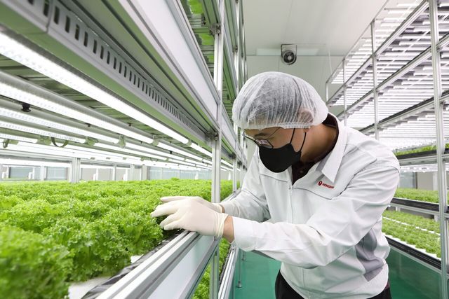 농심 스마트팜 [사진=농심]