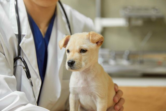 [사진=게티이미지뱅크]