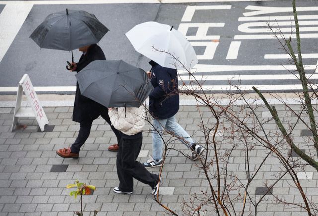비가 내린 2023년 11월 16일 서울 소재 모 대학교 캠퍼스에서 학생들이 우산을 쓴채 걸어가고 있다. [사진제공=뉴시스]
