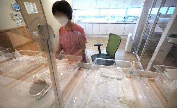 서울시의 출생아 수가 8년 만에 증가세로 돌아섰다. 사진과 무관한 내용. [사진출처=뉴시스]