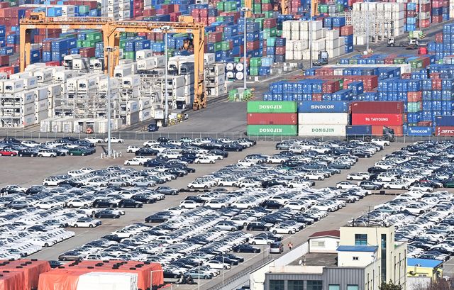 지난달 19일 경기도 평택시 포승읍 평택항 야적장에 수출용 자동차들이 세워져 있다. [사진=뉴시스]