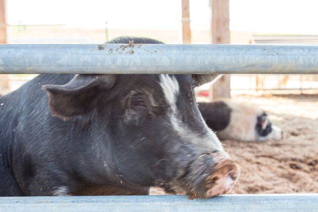 [사진제공=게티이미지뱅크]