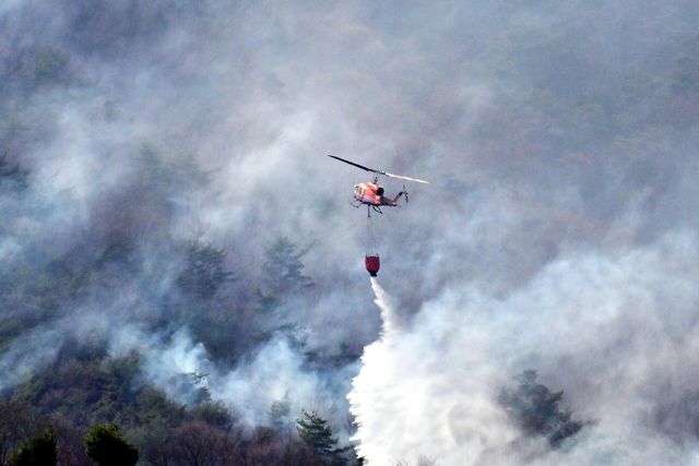 24일 오후 지난 21일 발생한 대형 산불에 대응하기 위해 산림당국이 산불진화헬기를 동원해 진화작업을 진행하고 있다. [사진제공=뉴시스]<br>