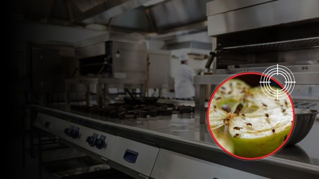 [이미지 제공 = 렌토킬이니셜코리아]<br>