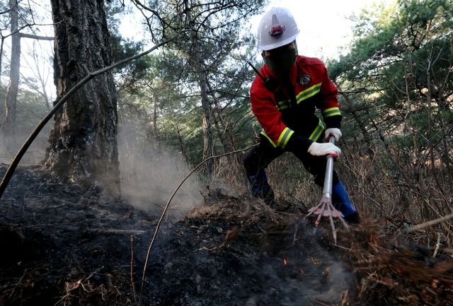 지난달 29일 경북 안동시 고하리 부근 산에서 잔불 진화 작업을 하고 있는 산불전문예방진화대. [사진제공=뉴시스]