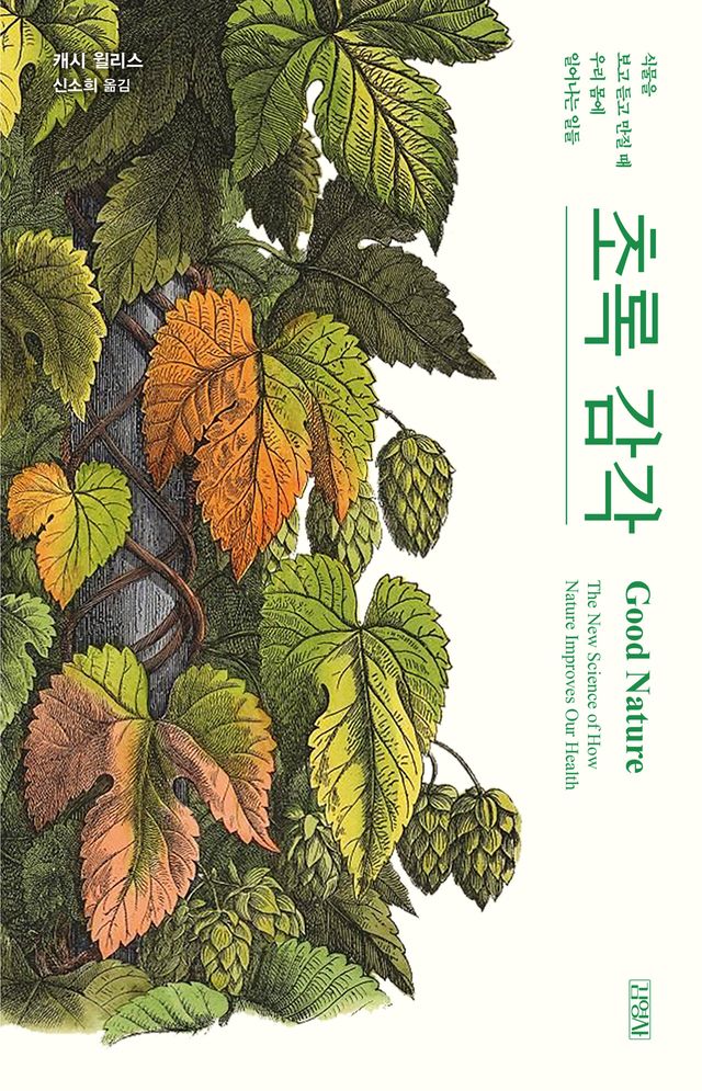 [사진제공=청어]