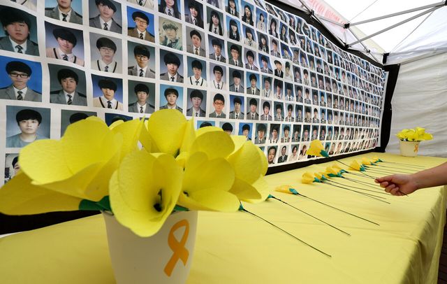 세월호 참사 11주기인 16일 대구 중구 동성로 시민분향소에 희생자 304명의 사진이 걸려 있다. [사진제공=뉴시스]