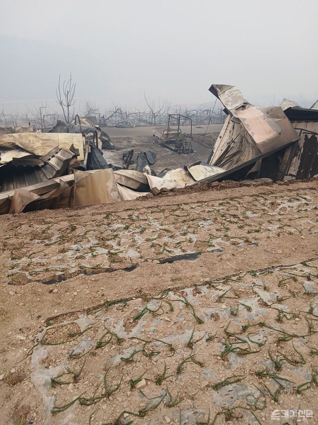 백운수 씨의 전소된 집 터 모습. ⓒ투데이신문