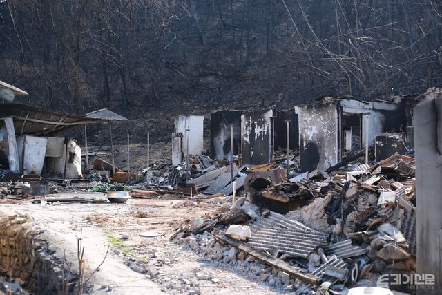안동시 임하면 고곡리 산불 피해 현장. 마을 전체가 전소돼 잔해만이 남아 있다. ⓒ투데이신문