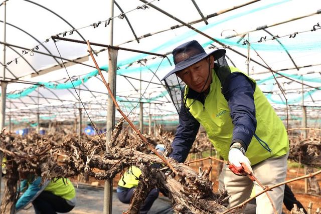 [사진=NH농협생명]