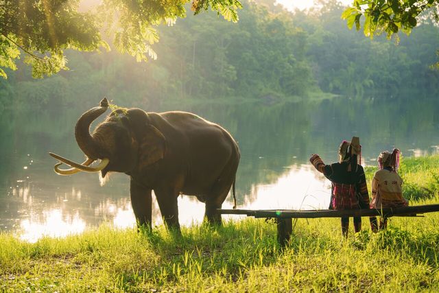 [사진제공=게티이미지뱅크]