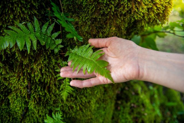[사진제공=게티이미지뱅크]