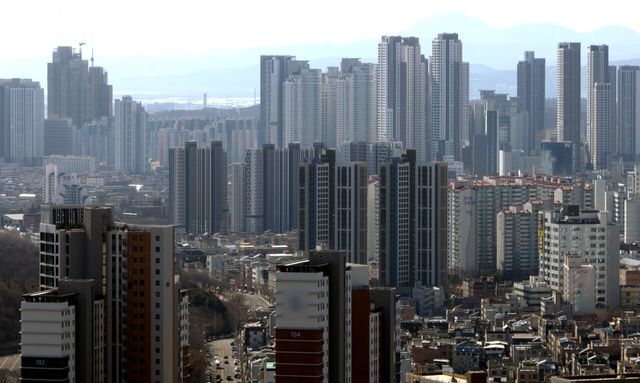 대구 중구에서 바라본 대구 도심 아파트 모습. [사진=뉴시스]