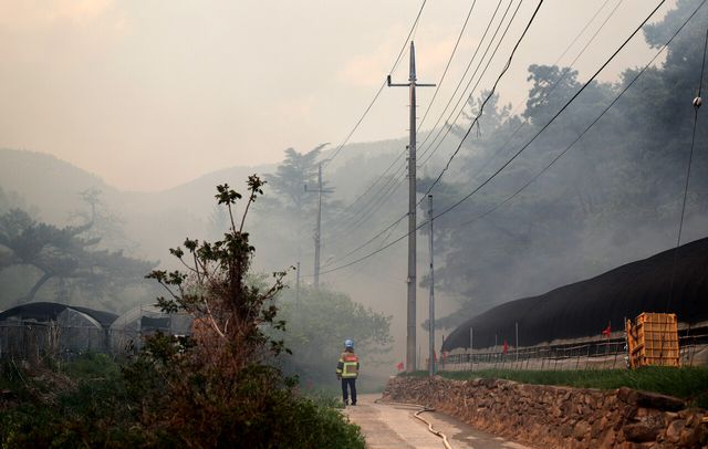 지난 28일 오후 2시경 대구 북구 노곡동 함지산에서 발생한 산불을 진화대원이 지켜보고 있다. [사진제공=뉴시스]