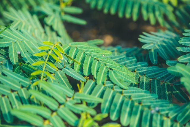 [사진제공=게티이미지뱅크]<br>