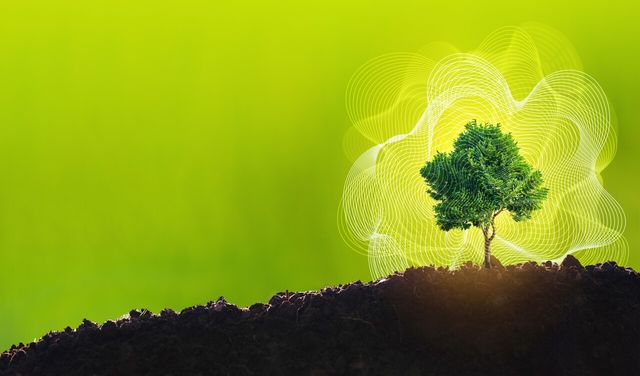 [사진제공=게티이미지뱅크]<br>