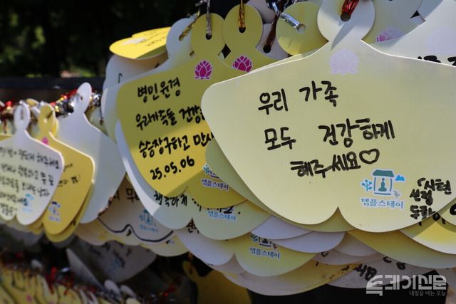 양평 용문사 은행나무를 둘러싼 울타리에 붙은 은행나무 모양 포스트잇. 용문사에 다녀간 시민들의 소원이 적혀 있다. ⓒ투데이신문