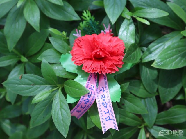 초록 잎 사이로 놓인 카네이션. 리본엔 '사랑합니다', '고맙습니다'라 적혀 있다. ⓒ투데이신문